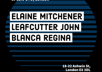 UNPREDICTABLE SERIES PRESENTS:LEAFCUTTER JOHN + ELAINE MITCHENER + BLANCA REGINA